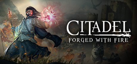 Citadel: Forged with Fire (2019)